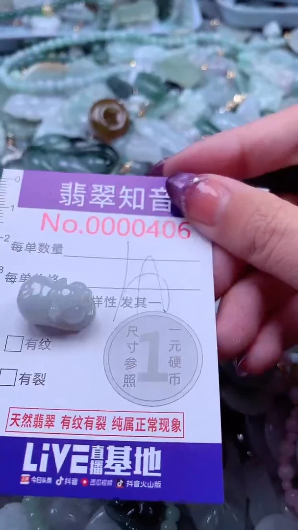 翡翠未镶嵌颈饰406