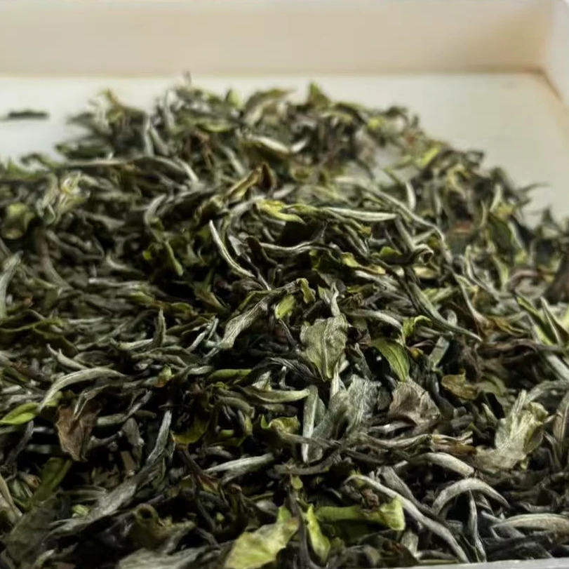 【鸣龙】 老陆 雀舌 芽苞 白茶   散茶