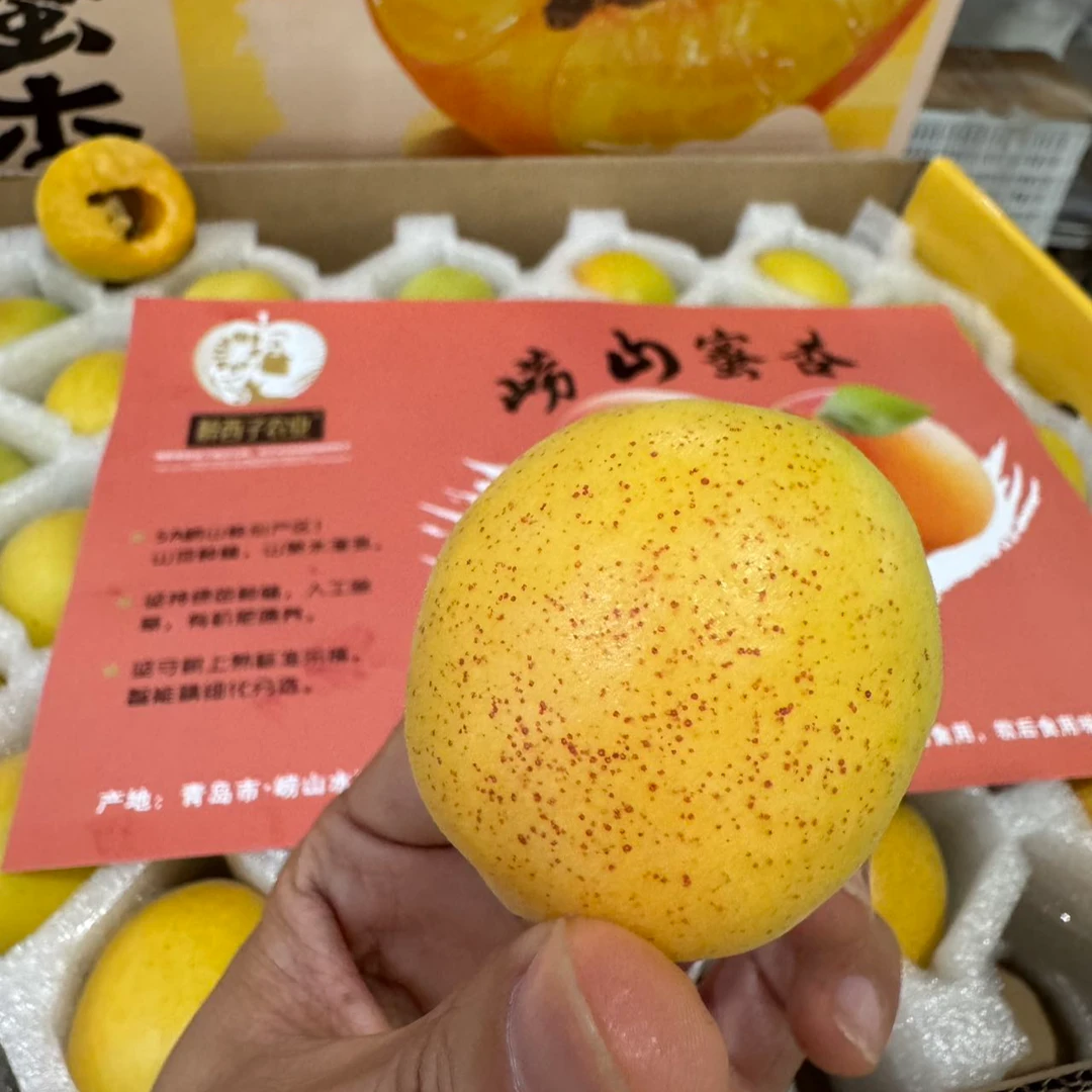 招牌 崂山香蜜杏 软吃蜜汁香甜 果味超级浓郁