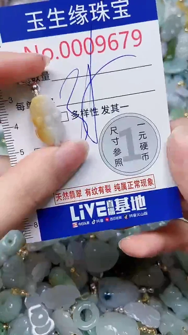 【闪购商品】翡翠颈饰未镶嵌闪购00009679