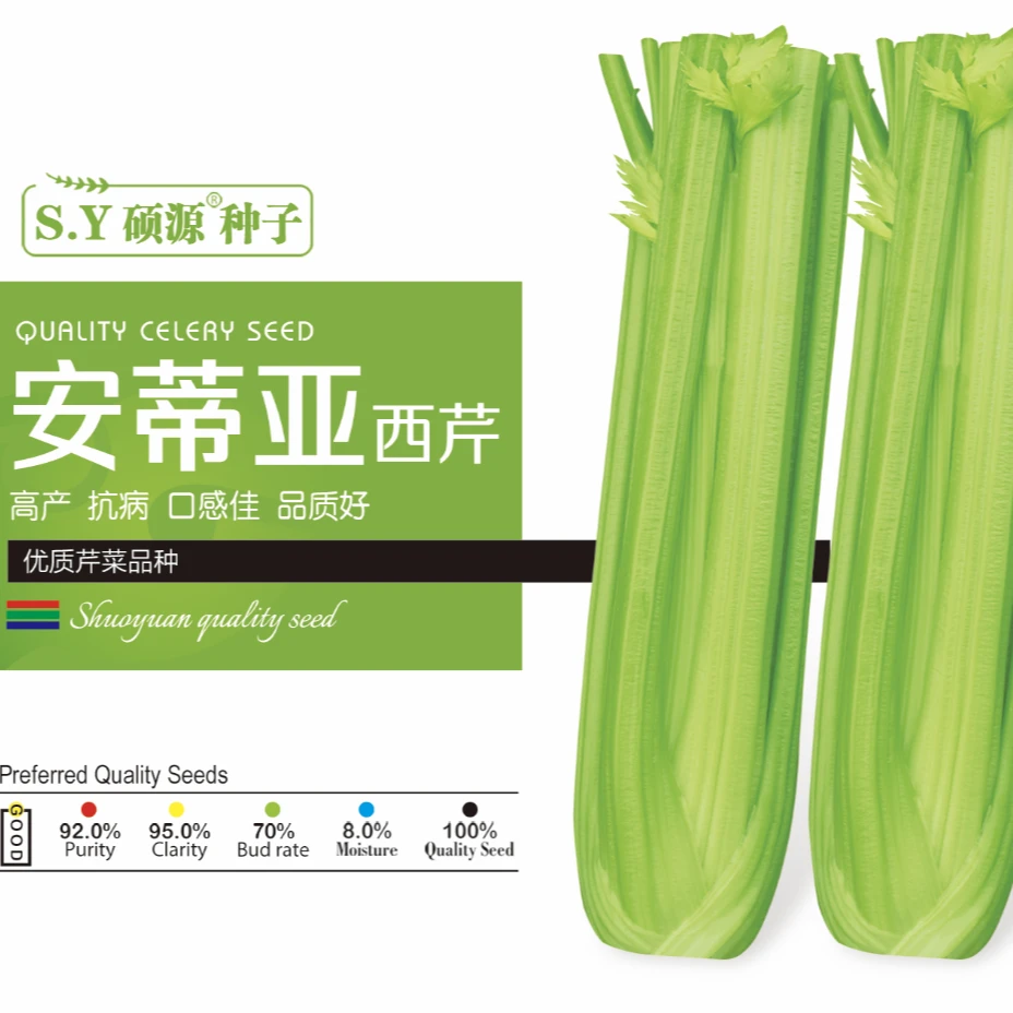 硕源安蒂亚芹菜种子耐热四季高产抗病大叶片叶色绿适用大中小棵