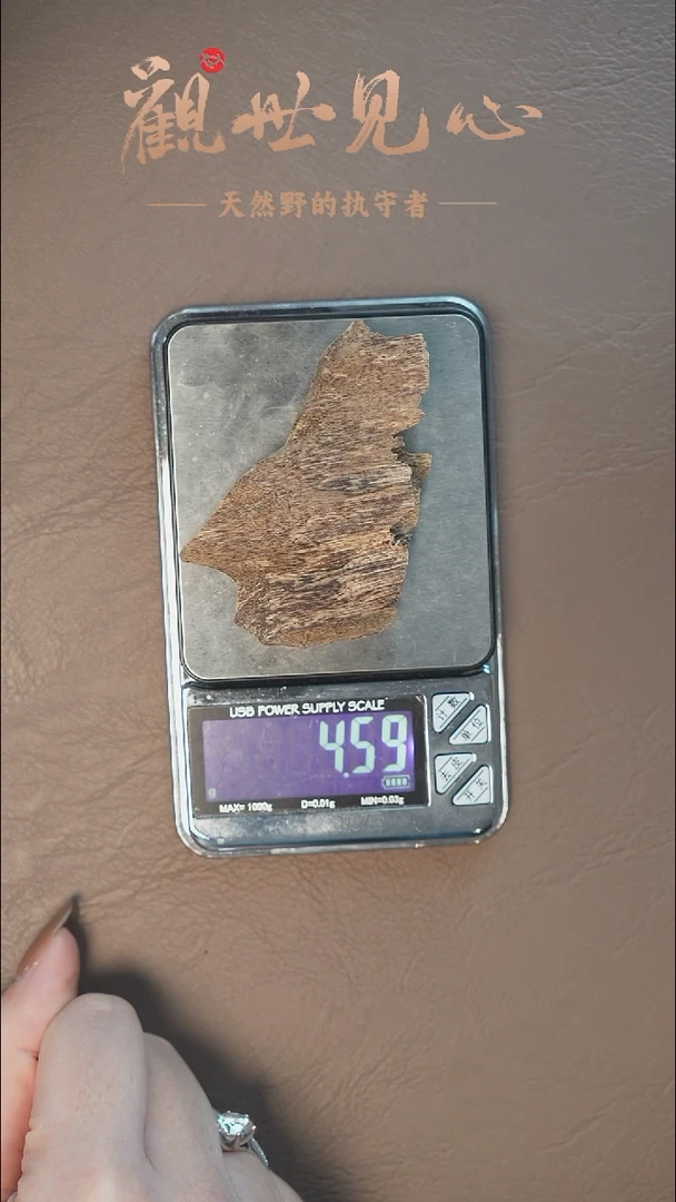 沉香沉香碎屑越南虫漏料 4.59g