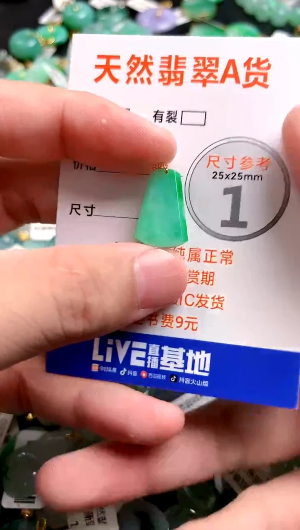 颈饰18K金镶嵌翡翠0869007567