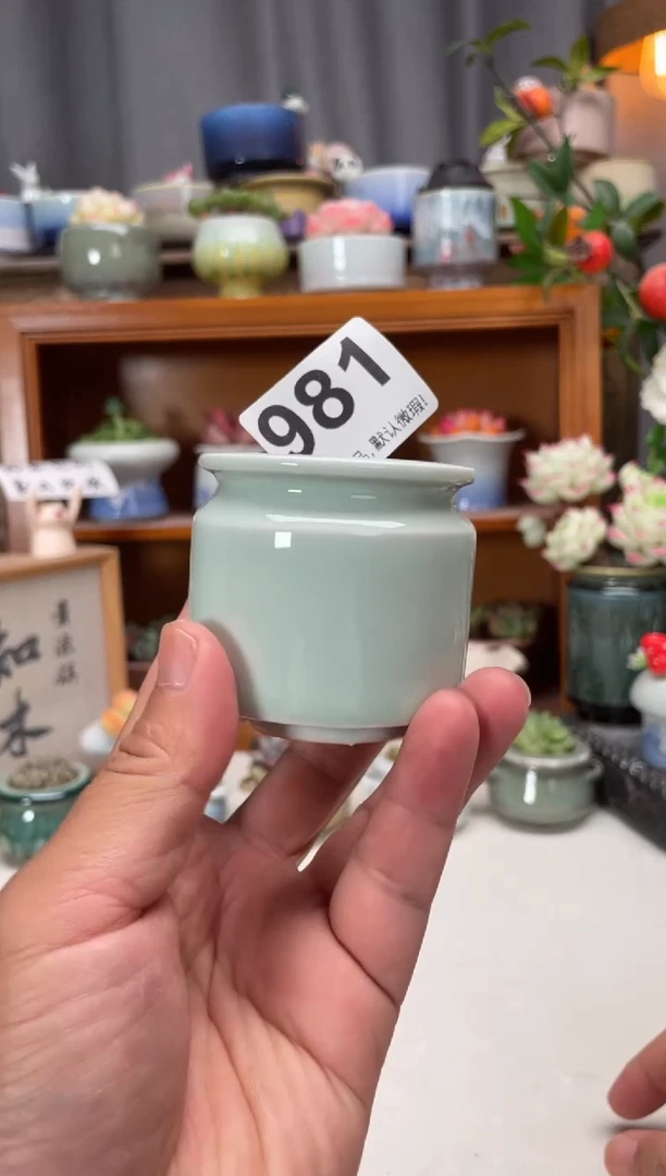 瓷片981知木小芳花盆