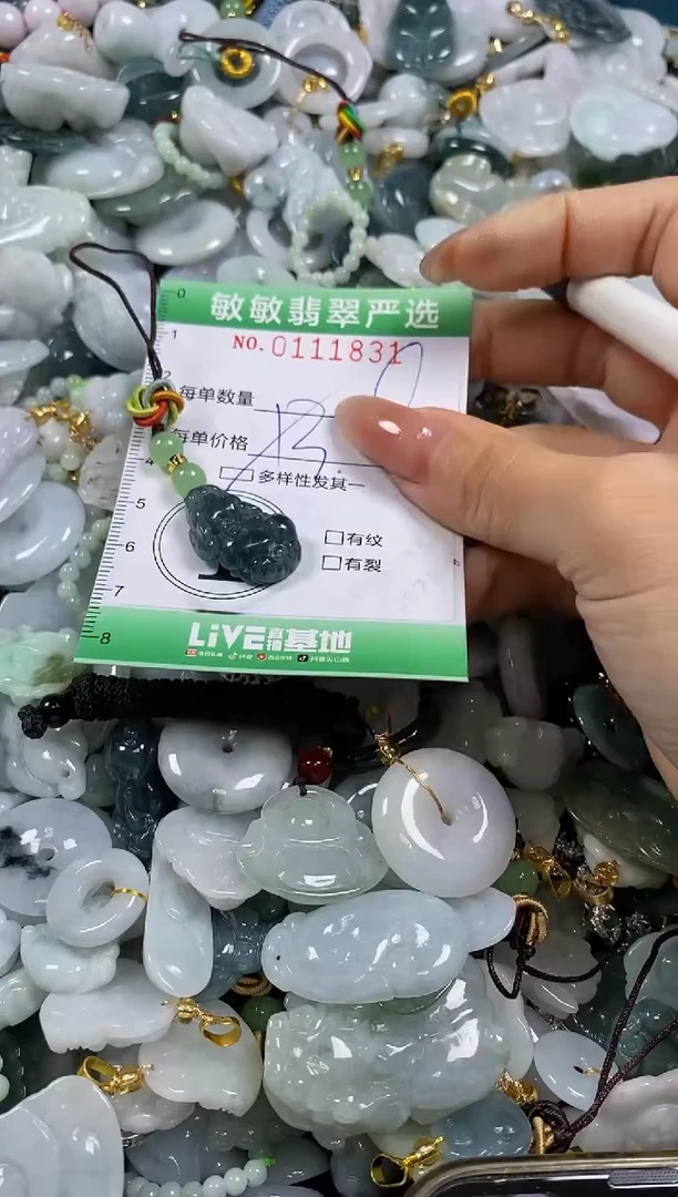 【闪购商品】翡翠颈饰未镶嵌闪购0111831多样性发其一