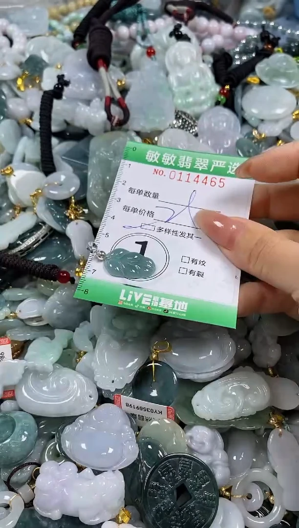 【闪购商品】翡翠颈饰未镶嵌闪购0114465多样性发其一