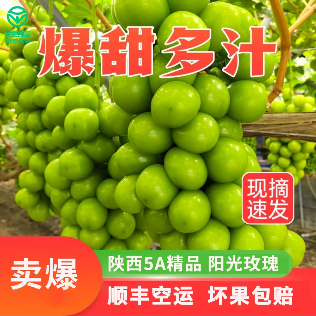 【顺丰包邮】阳光玫瑰葡萄 精品超大果 当季新鲜水果爆汁包甜 现采现发  源头产地：陕西省