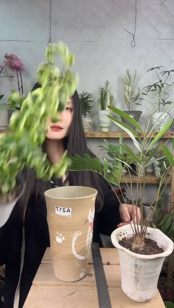 无花朵编号 217  景德镇手绘花盆