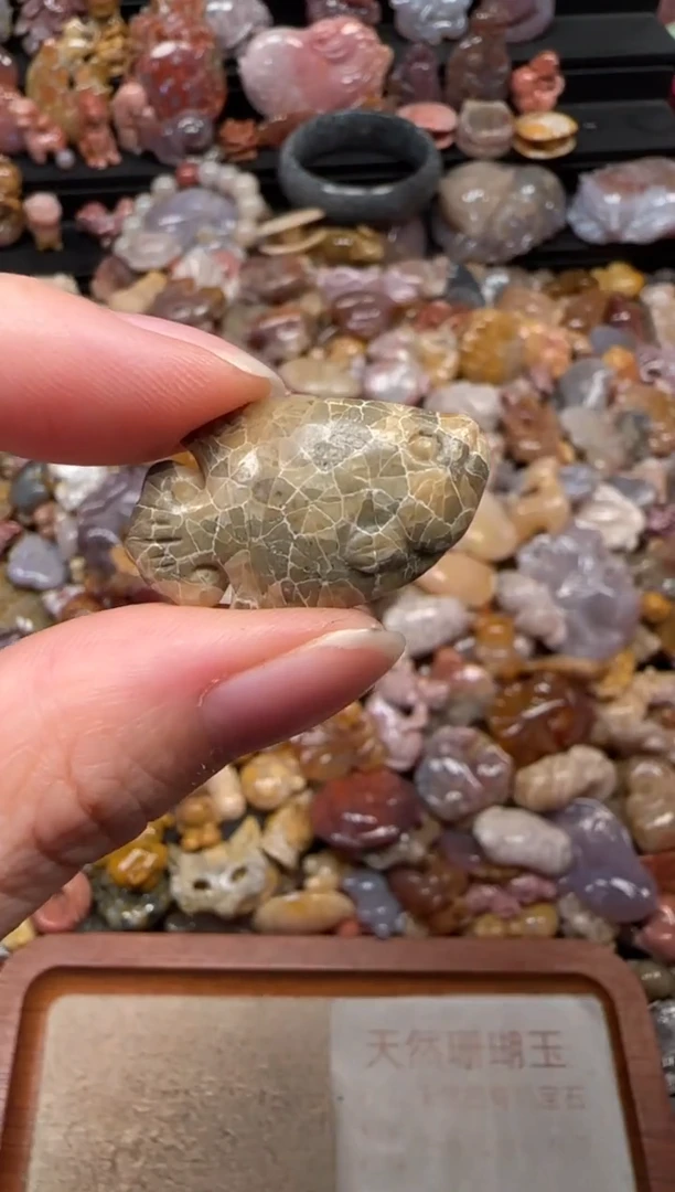 颈饰未镶嵌硅化珊瑚（珊瑚玉）794