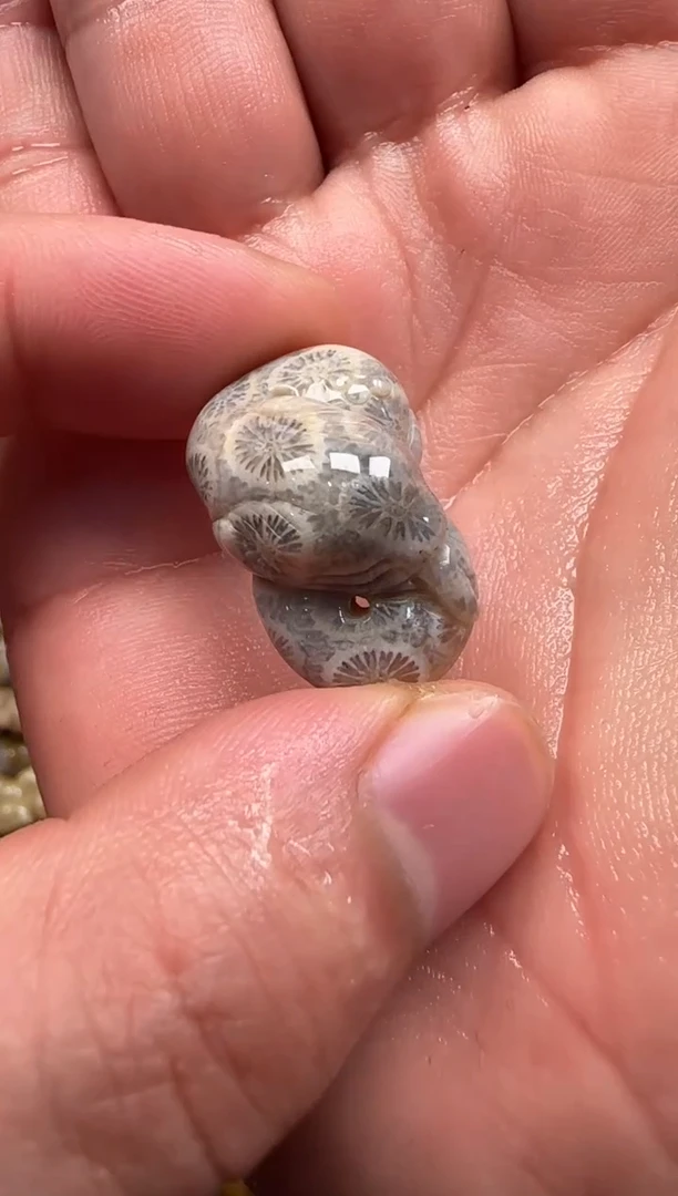 【闪购商品】硅化珊瑚（珊瑚玉）颈饰未镶嵌528