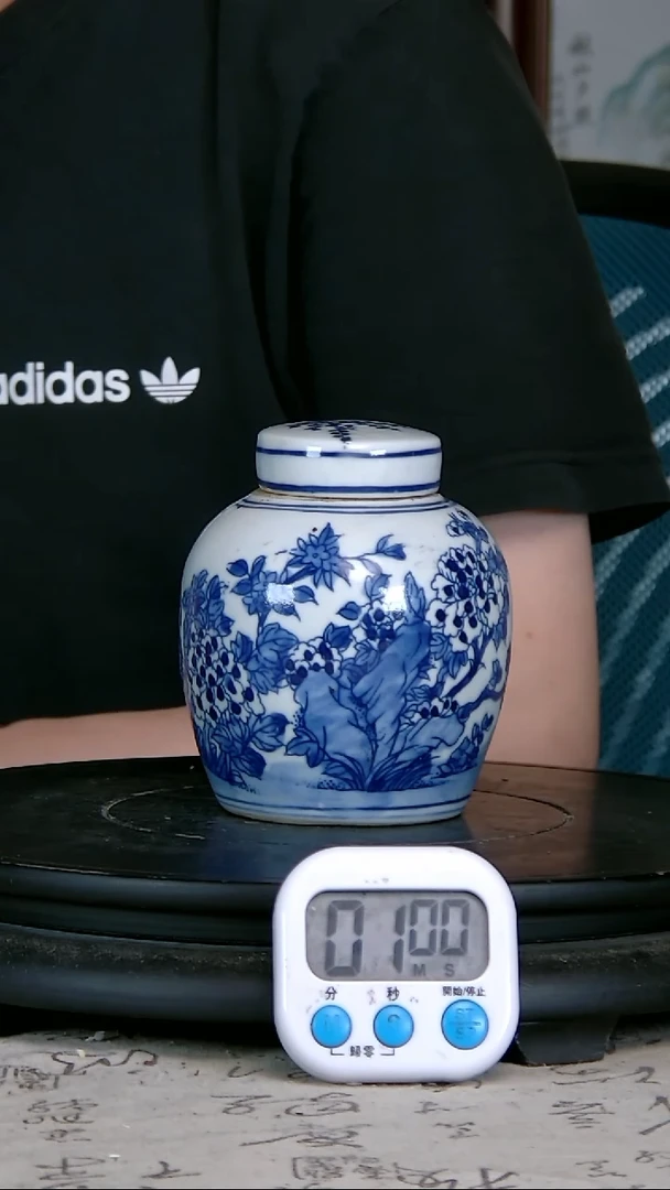 帝*青花精绘花卉图罐