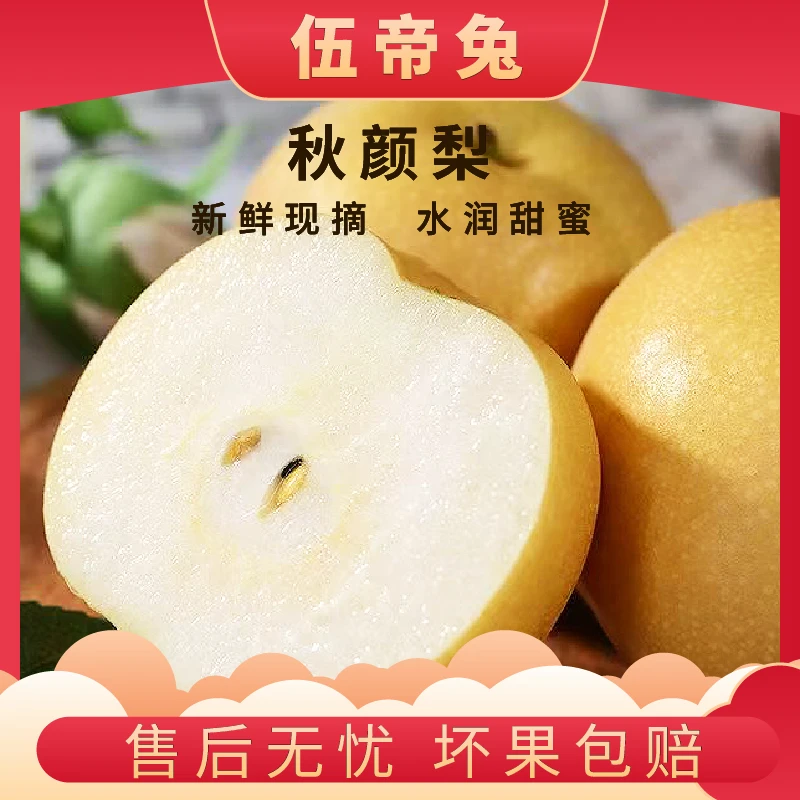 【伍帝兔】山东头茬秋颜梨应季水果新鲜采摘大果梨子顺丰包邮