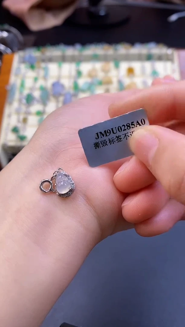 颈饰银S925镶嵌翡翠17574多样性发一