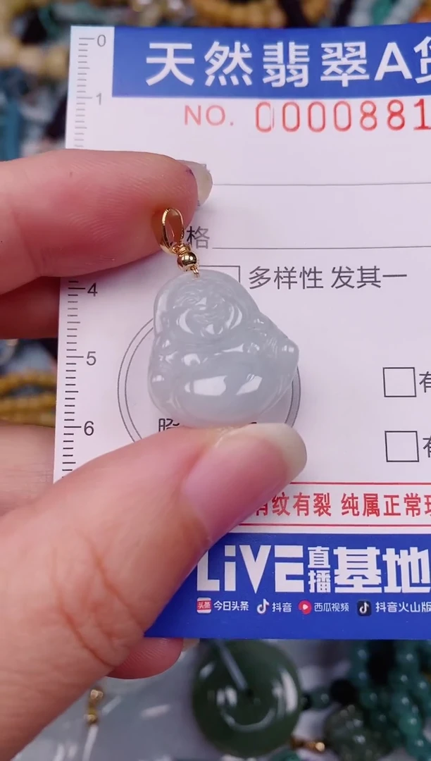 颈饰未镶嵌翡翠00000881多样性发其一