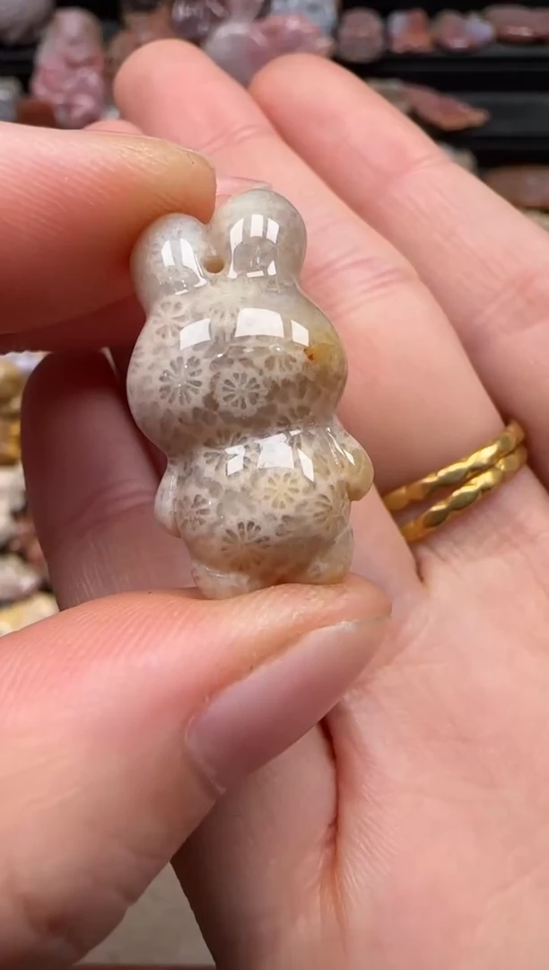 【闪购商品】硅化珊瑚（珊瑚玉）颈饰未镶嵌213