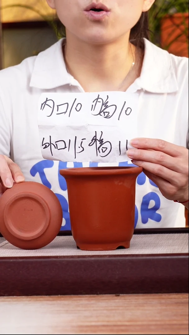 紫砂花盆新款清水泥素面迷你小金钟一只带托