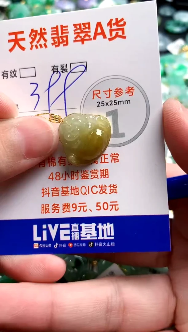 翡翠18K金镶嵌颈饰0213880935