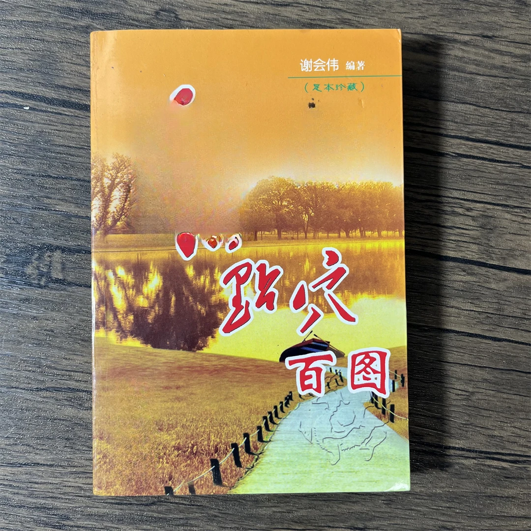 国学 点穴百图 优选推荐好书 完整版传统文化民间书籍