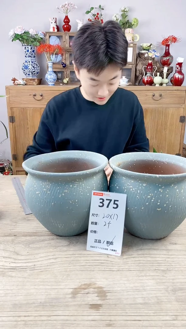 小玩子花盆直播号375