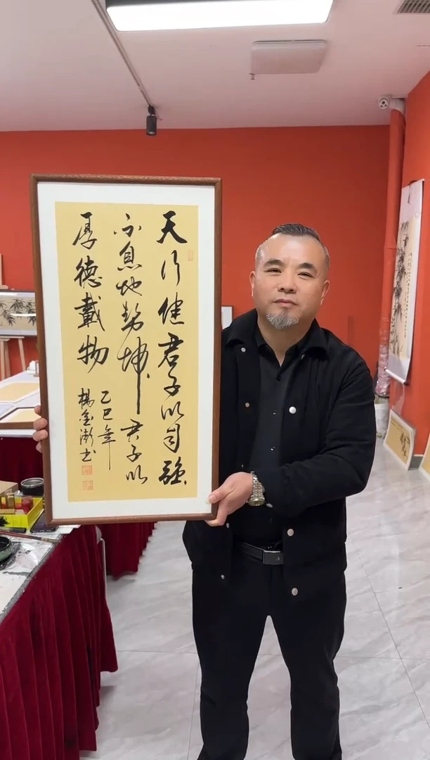 书法（现场这幅）杨金澎手写书法/天行健/古宣（带框）