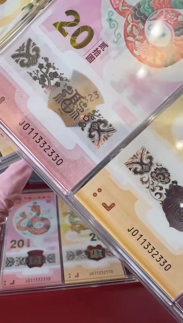 【闪购商品】塑料2025龙蛇 啊啊啊啊啊啊啊啊全同号裸