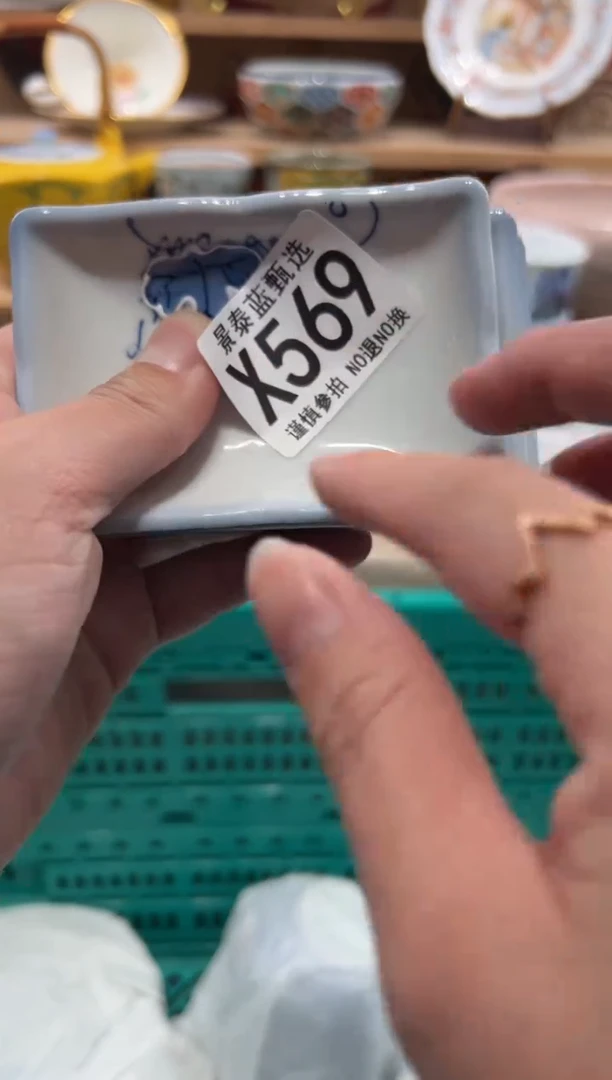 瓷片枝*瓷片------X569