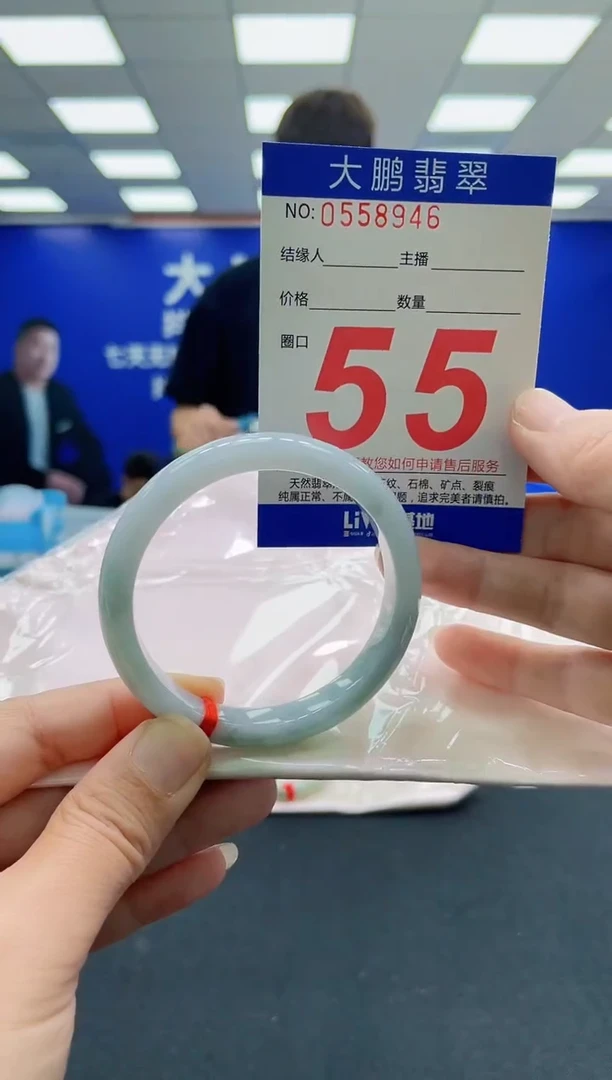 未镶嵌手镯翡翠 AAAAAAAAA