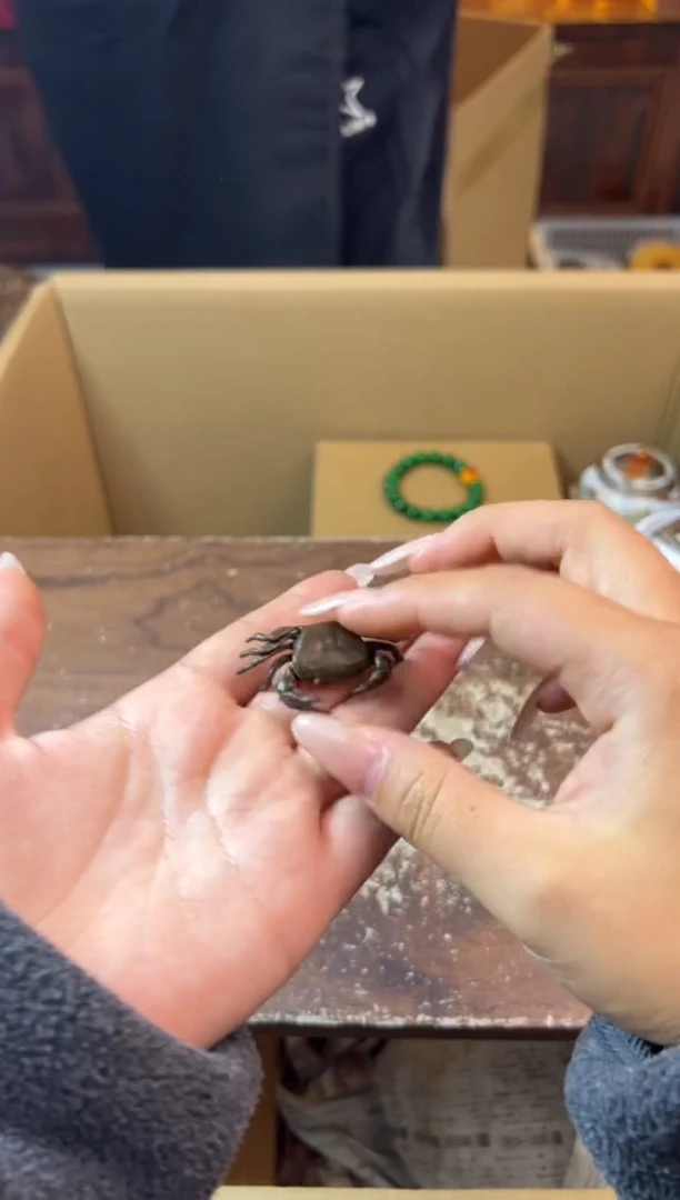 工艺赏玩器物茶宠摆件把件卡单拉黑部分非全新品介意勿拍