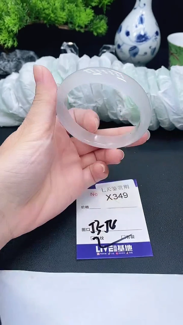 未镶嵌手镯翡翠349