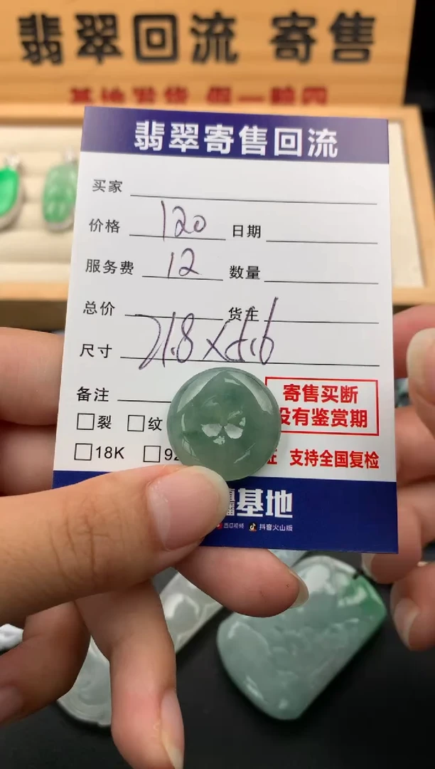 翡翠未镶嵌颈饰10140928