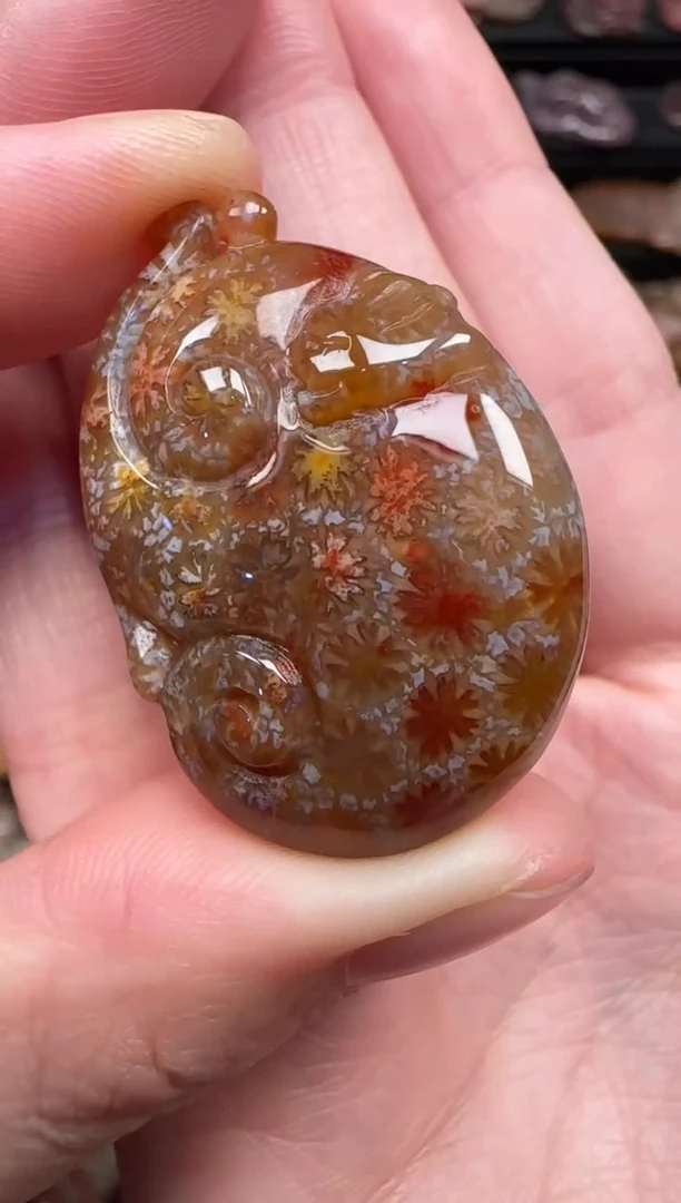 颈饰未镶嵌硅化珊瑚（珊瑚玉）834