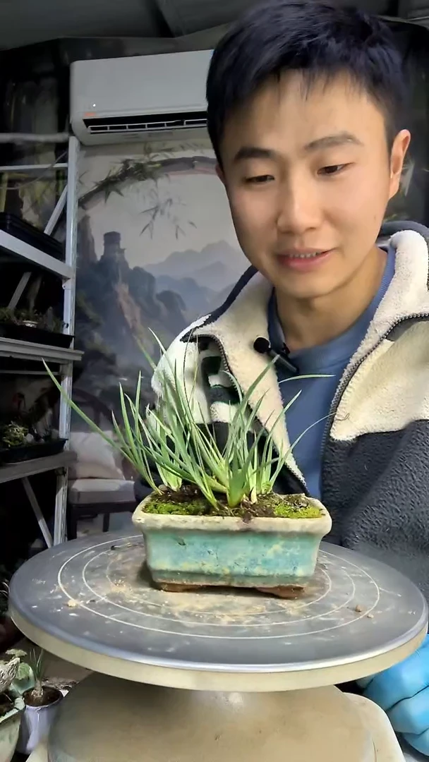 妮*中青园艺一物一拍花275