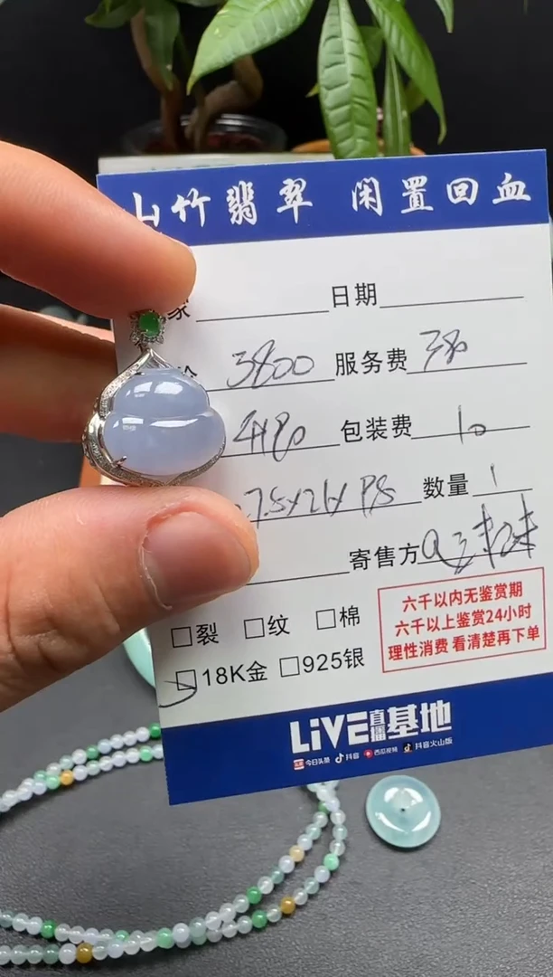 颈饰18K金镶嵌翡翠3002444