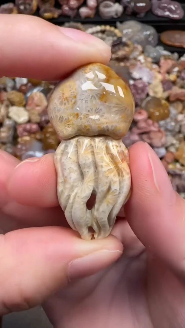 颈饰未镶嵌硅化珊瑚（珊瑚玉）053
