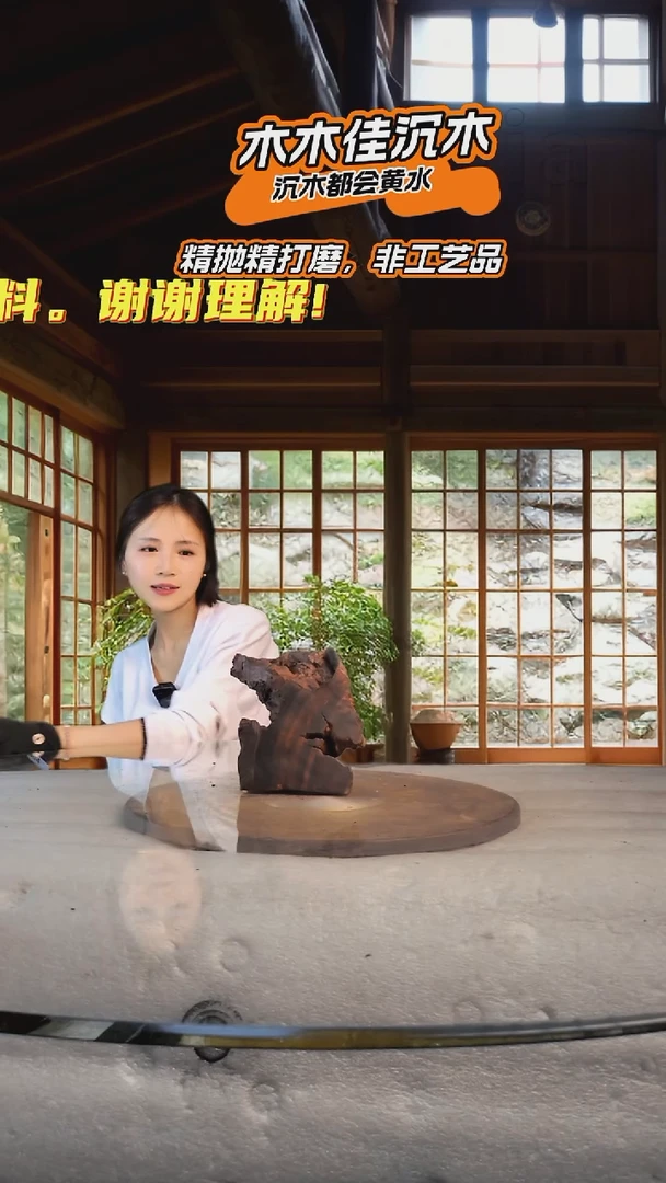村****仔木木佳鱼缸造景沉木504