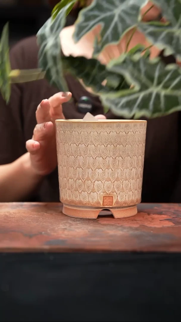 8-9-115花盆口径9.5