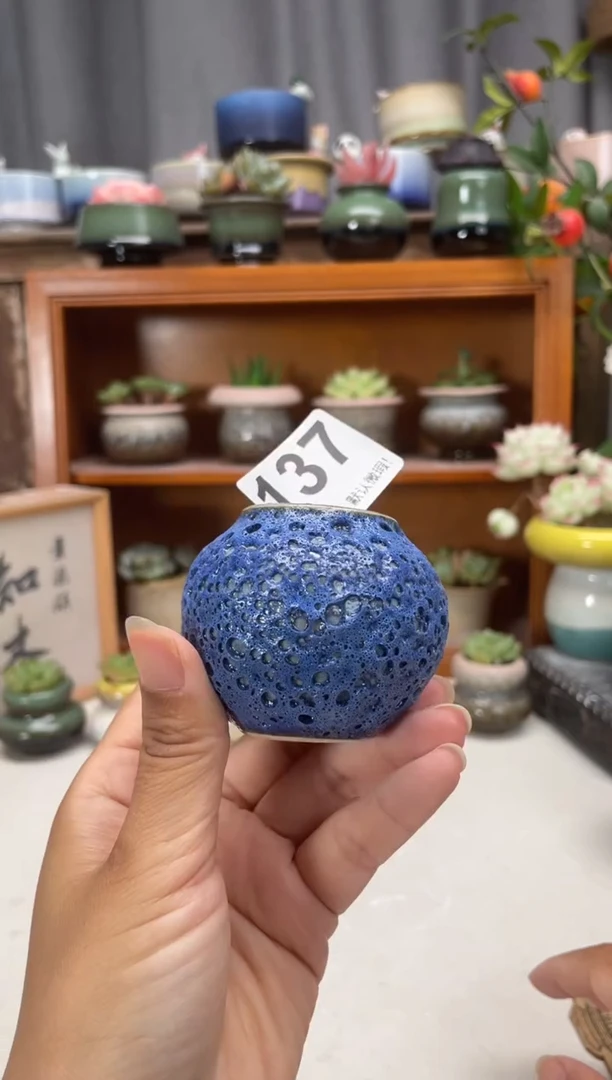 瓷片137知木小芳花盆