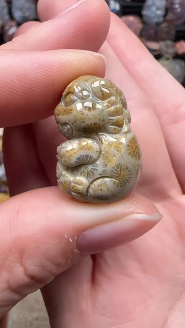 颈饰未镶嵌硅化珊瑚（珊瑚玉）526