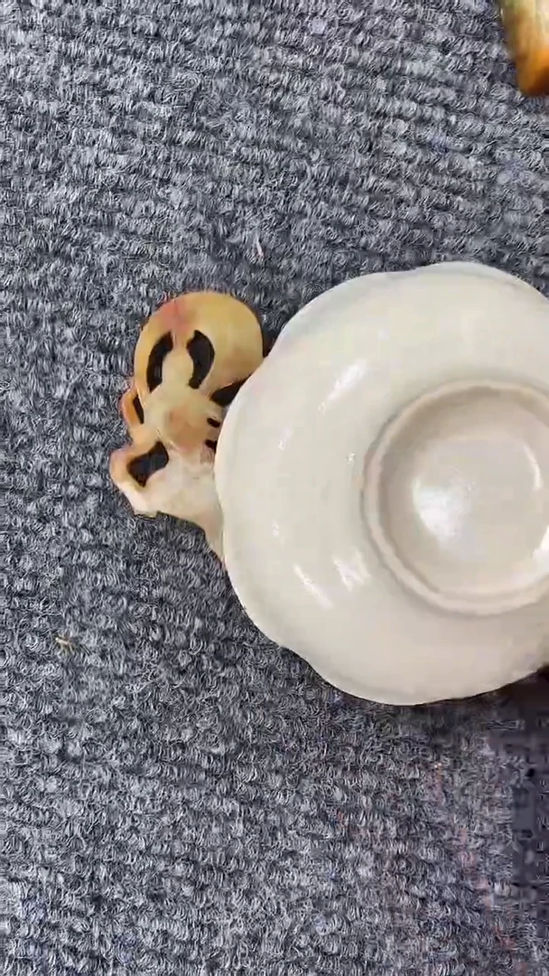 瓷片瓷器8909789789