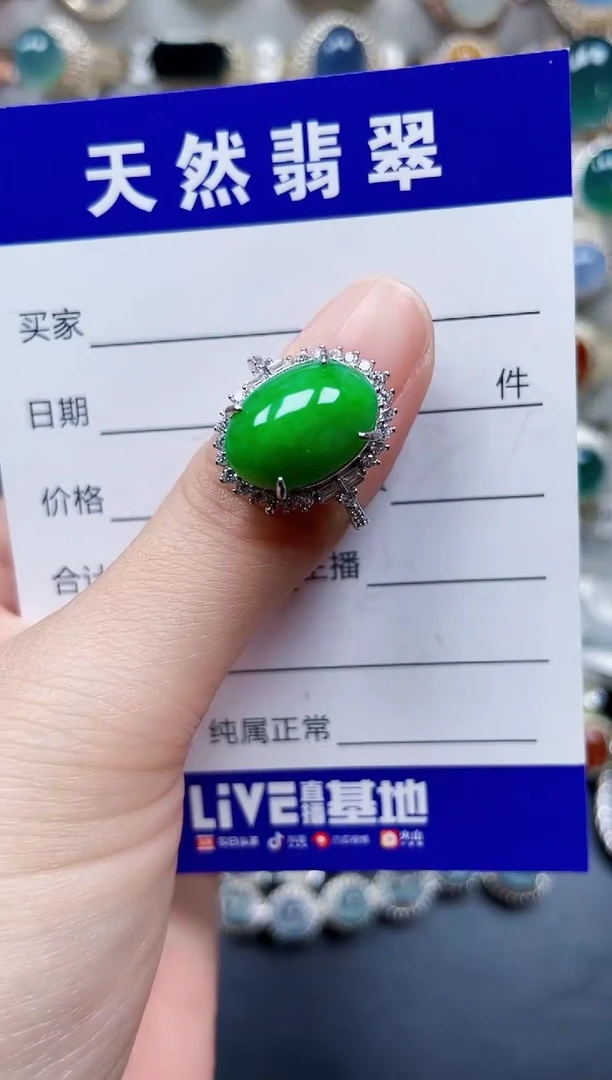 颈饰银S925镶嵌翡翠110