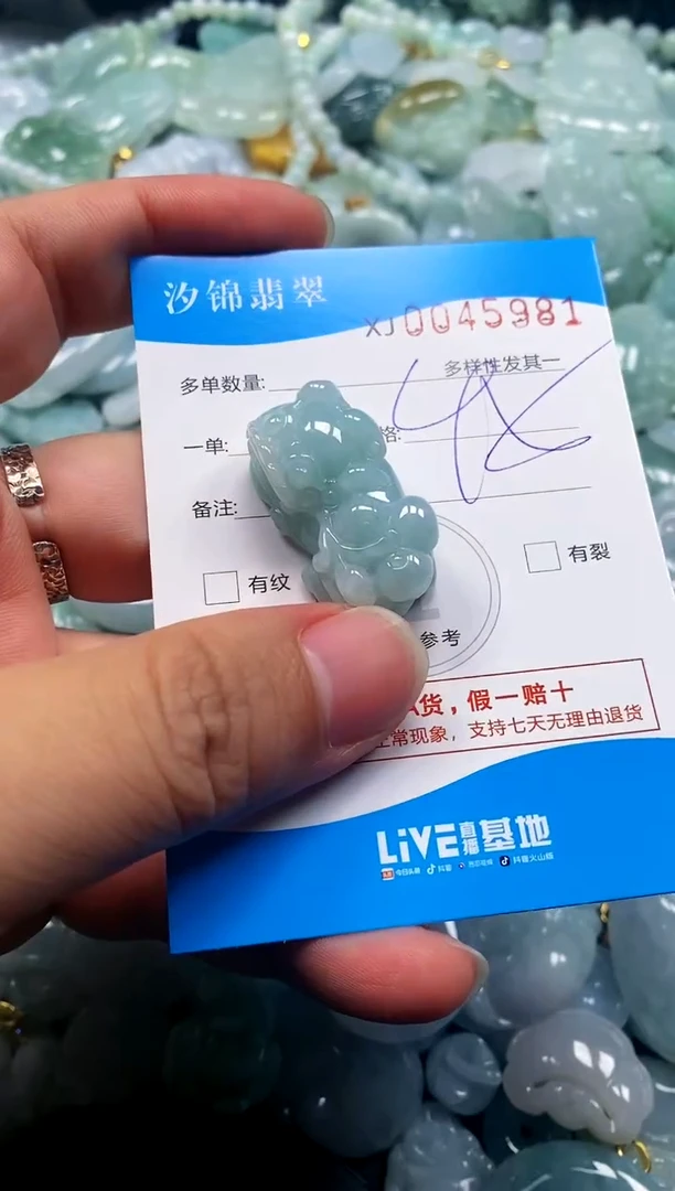 颈饰未镶嵌翡翠闪购商品0045981