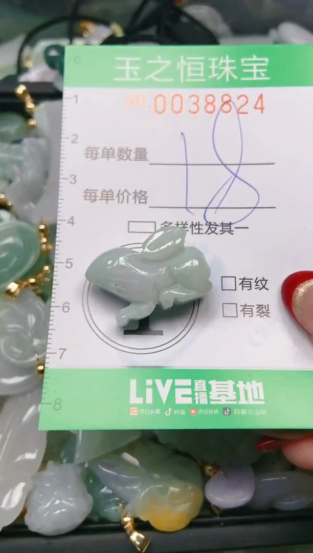 【闪购商品】翡翠颈饰未镶嵌闪购0038824