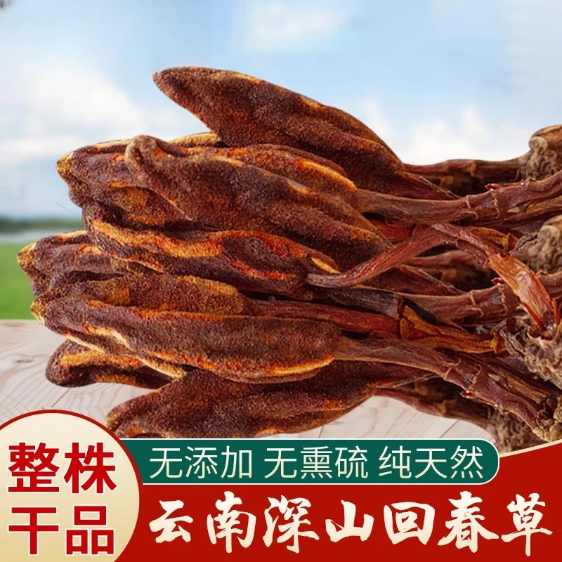 精选云南回春草深山煮水泡茶泡酒散装农产品