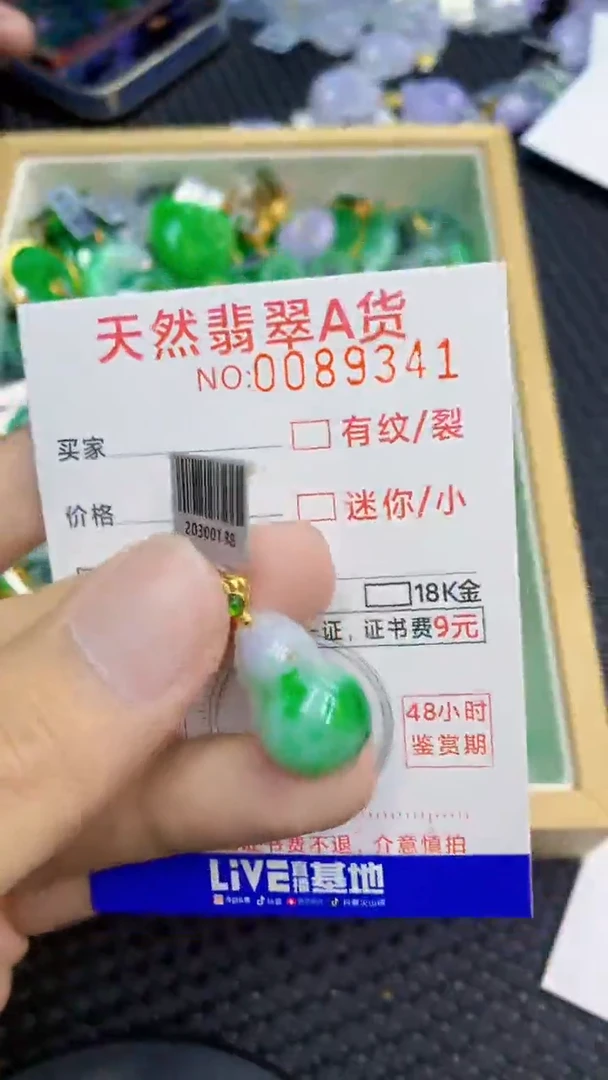 翡翠未镶嵌吊坠(不含链)1