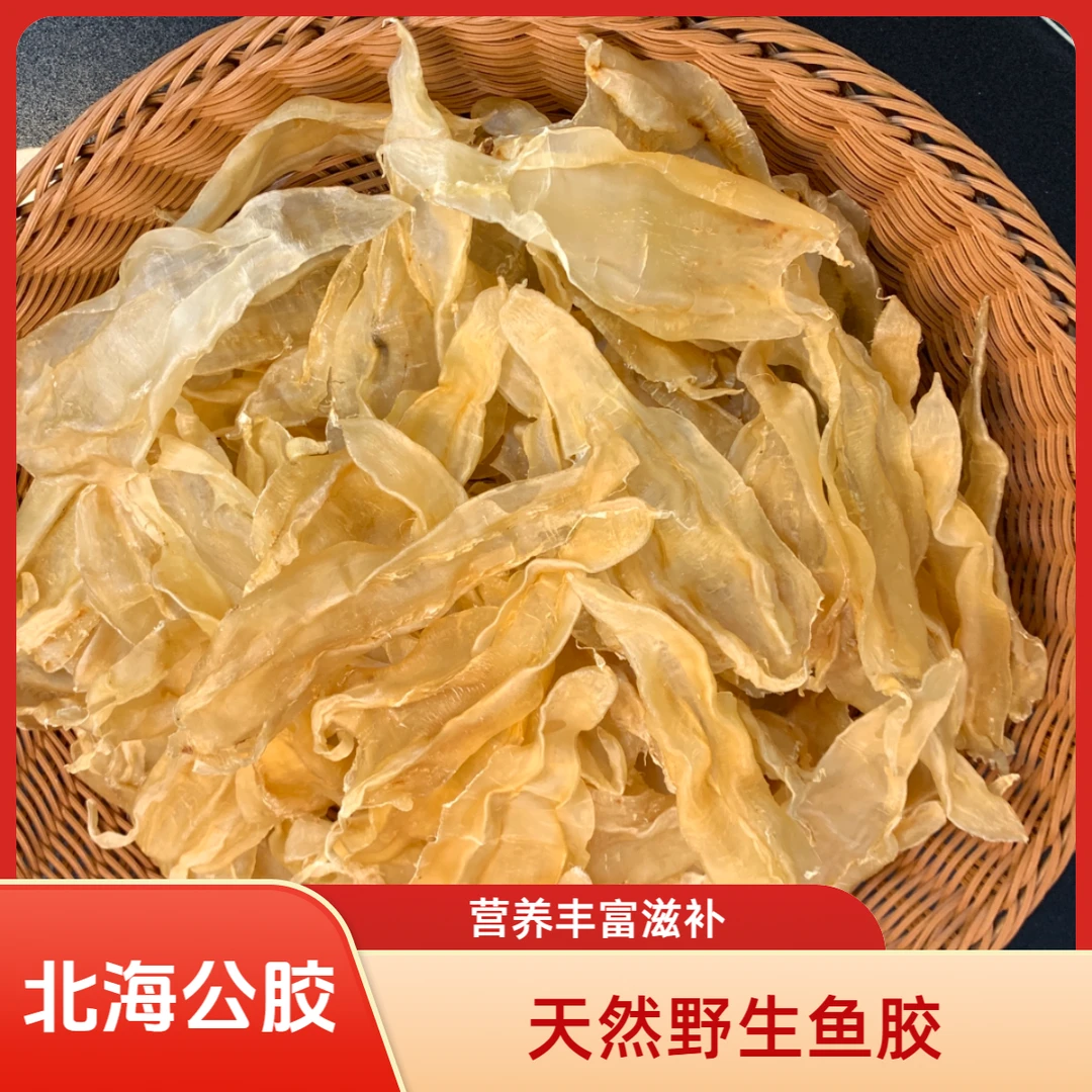 山海汇 广东 北海公胶鱼胶干货-86头