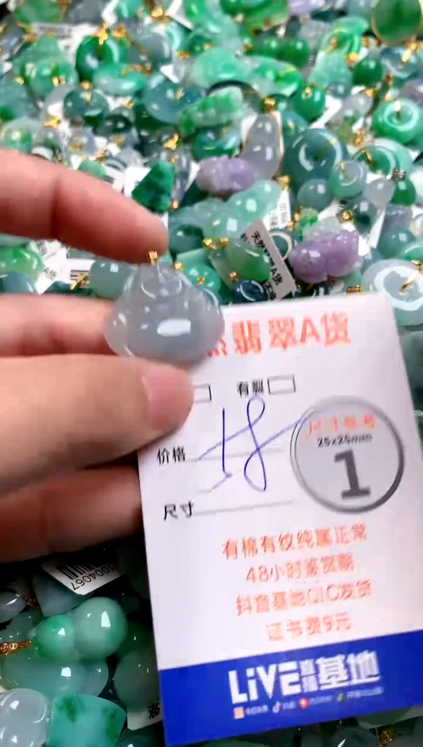 颈饰未镶嵌翡翠25100263