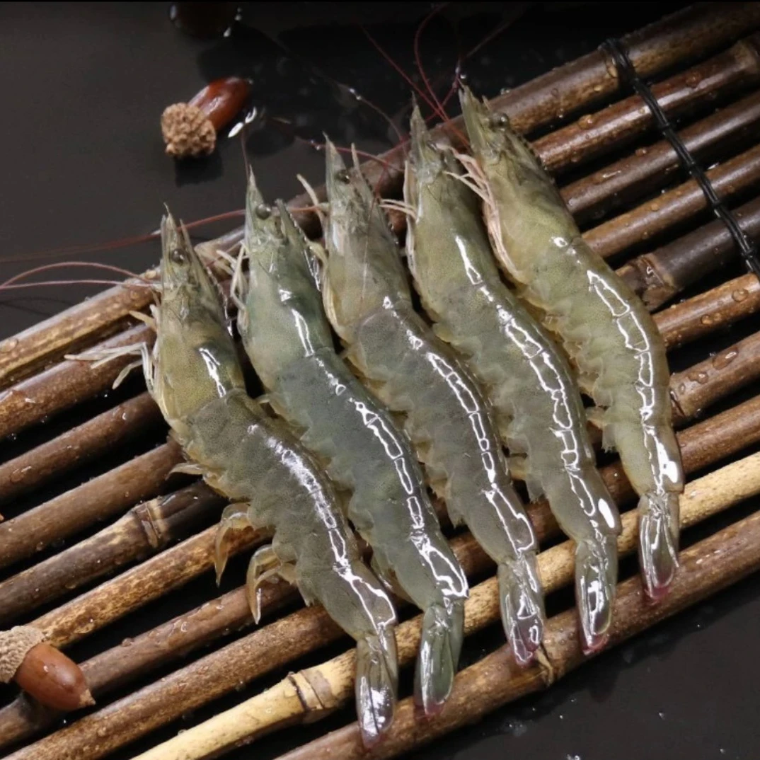 海捕野生小白虾海毛虾 一斤40只左右400G/盒*5盒 到手2000G四大斤