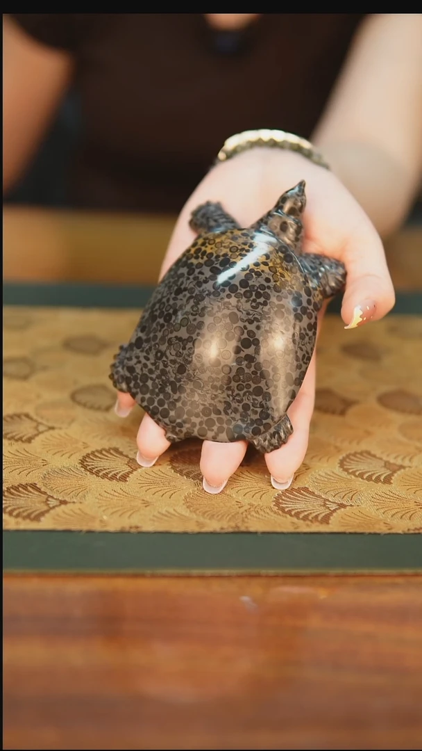 天然金钱石甲鱼12CM