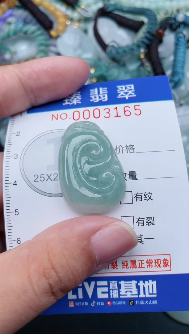 翡翠未镶嵌颈饰.0003165
