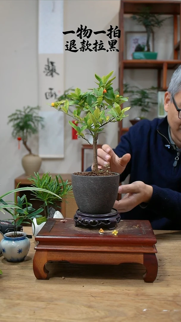 完全开放q*q金豆312